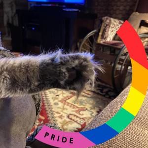 Meet your Posher, Paul